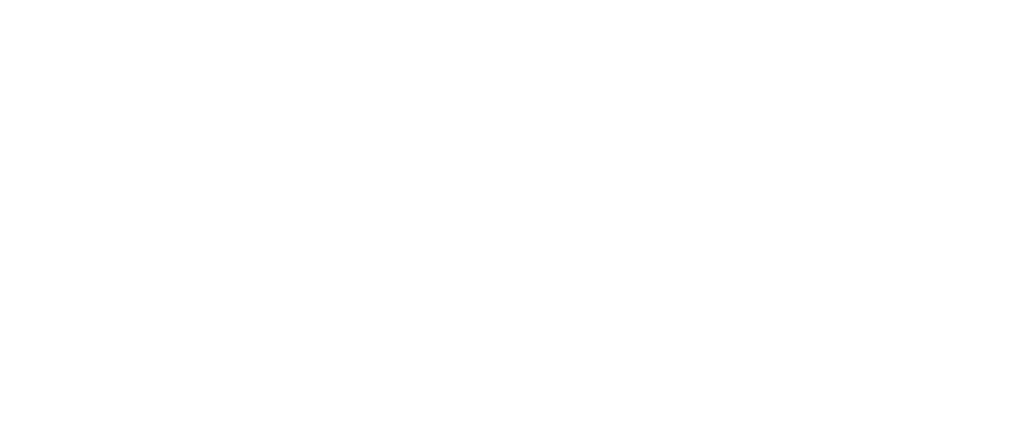 Saanchi